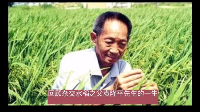 中国著名科学家简介系列之杂交水稻之父袁隆平先生