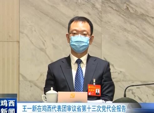 王一新在鸡西代表团审议省第十三次党代会报告