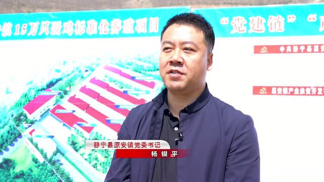 静宁县原安镇15万只蛋鸡标准化养殖项目开工