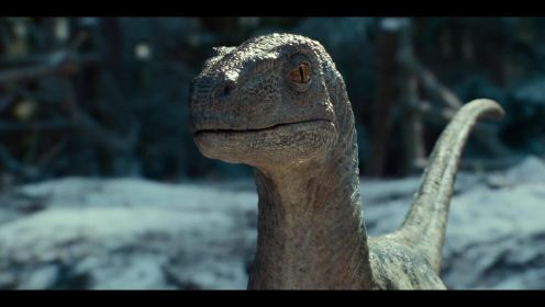 《侏罗纪世界3》最新预告今年6月大銀幕震撼登场