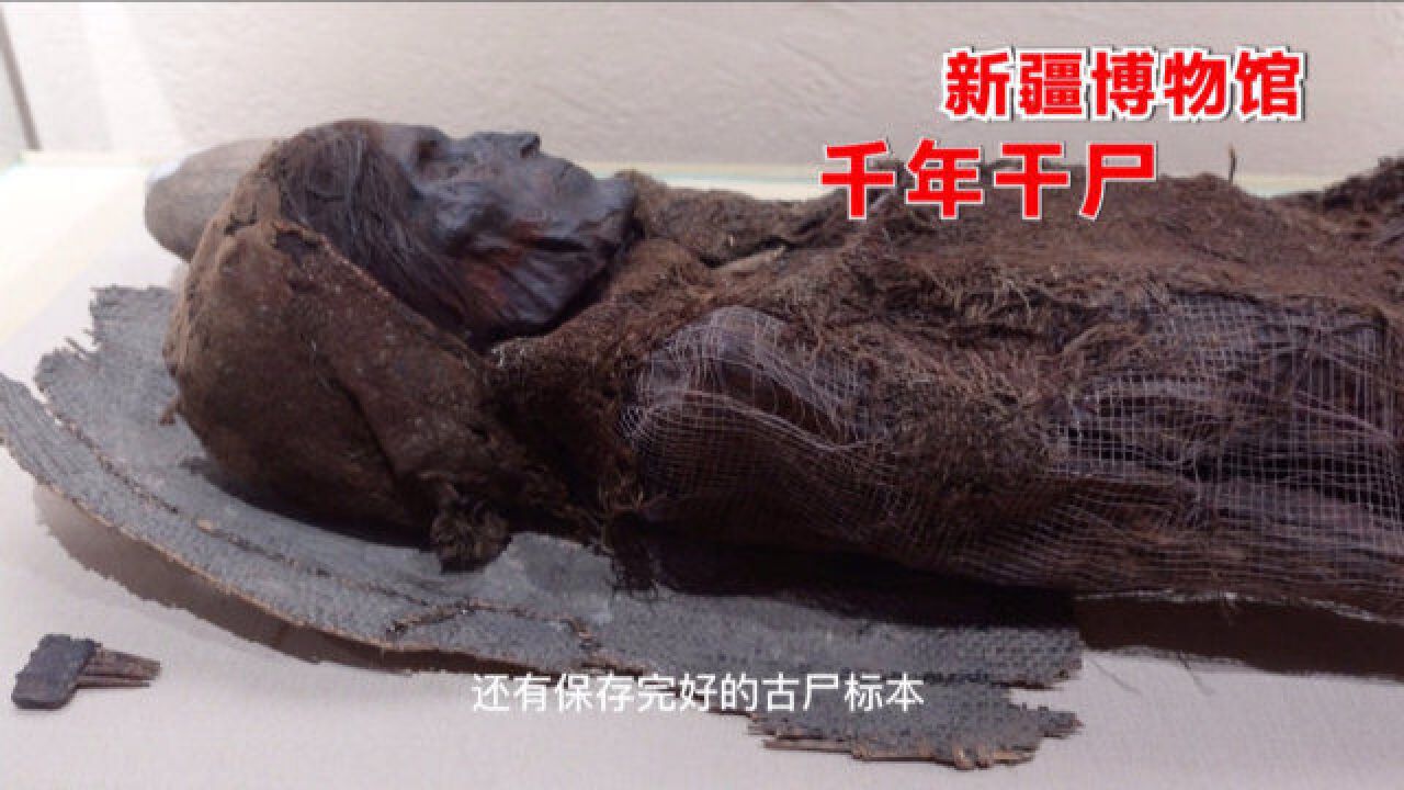 千年干尸长啥样?探秘新疆博物馆,十几具干尸让你一次看个够!