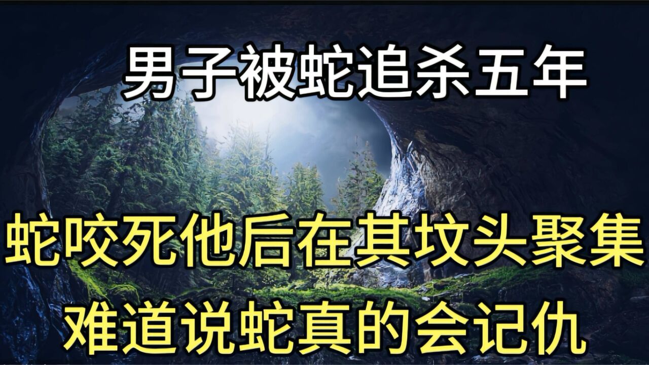 男子被蛇追杀五年,蛇咬死他后在其坟头聚集,难道蛇真的会记仇?