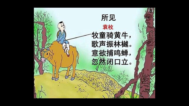 古诗三百首(所见)(袁枚)