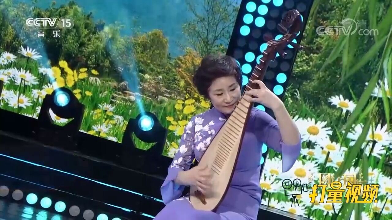 琵琶演奏家吴玉霞演奏《风戏柳》,让人身临其境,真美