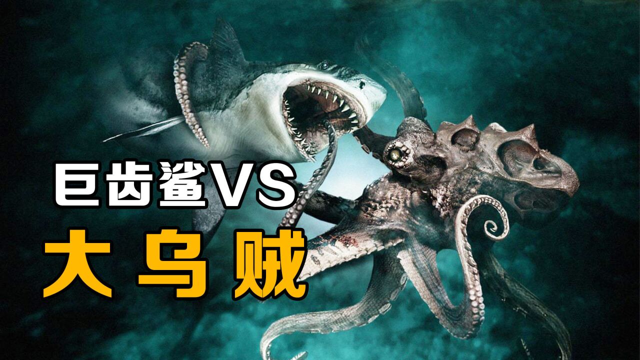 巨齿鲨vs大乌贼