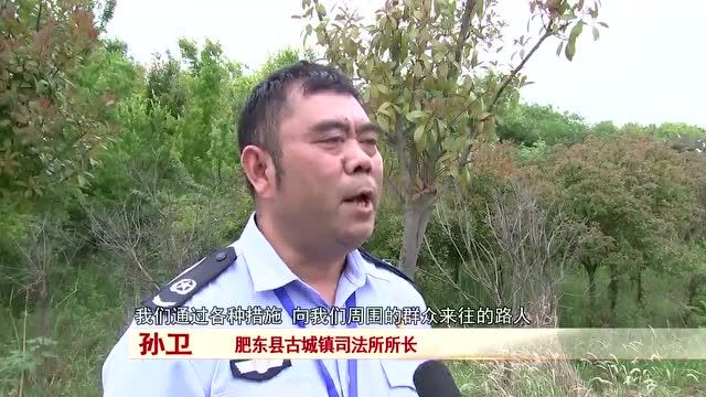 保护生物多样性 | 肥东县:一片青山绿 千只白鹭飞