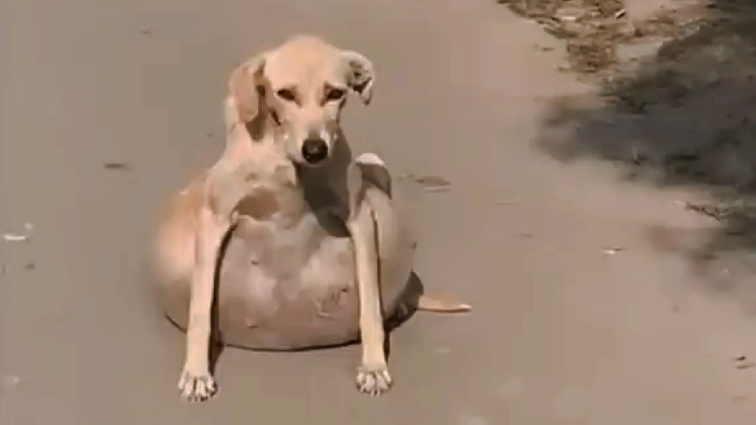 QQ浏览器