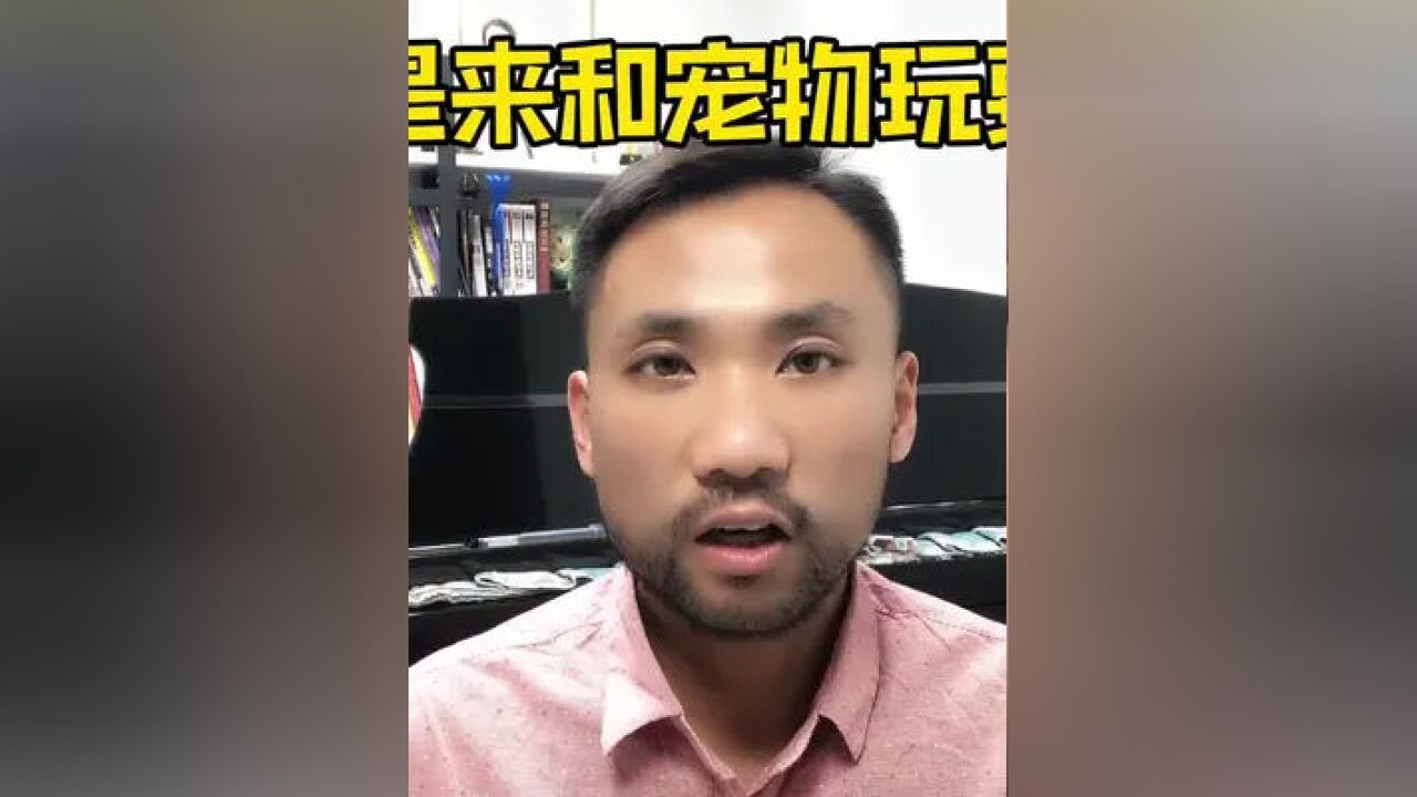 瞌睡乔这一趟旅行,是专门来和宠物互动的呢?还是来一套连招对付 的呢?