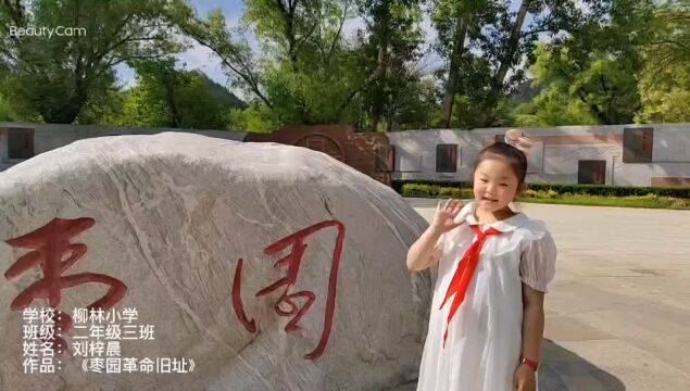 刘梓晨—柳林镇中心小学—《枣园革命旧址》