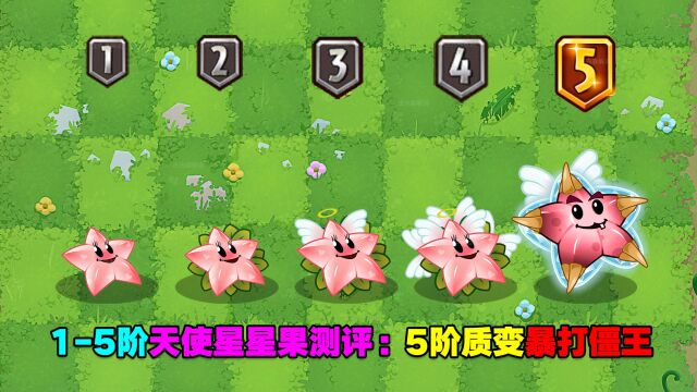 15阶天使星星果测评:1阶刮痧,5阶暴打僵王!