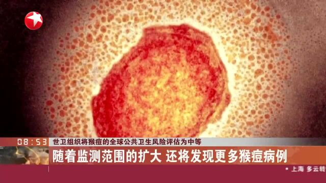 世卫组织将猴痘的全球公共卫生风险评估为中等