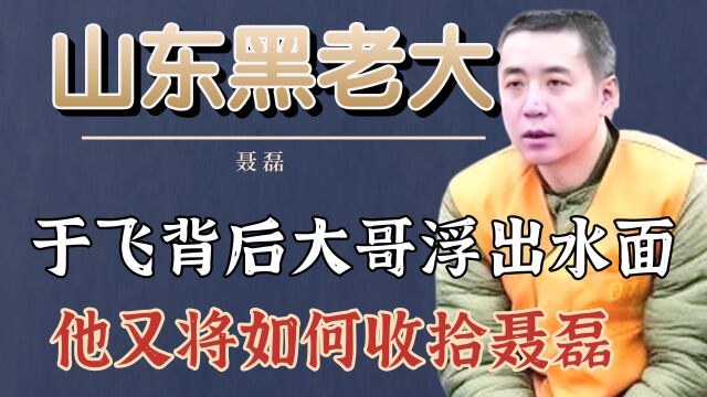 于飞背后大哥浮出水面,他又将如何收拾聂磊