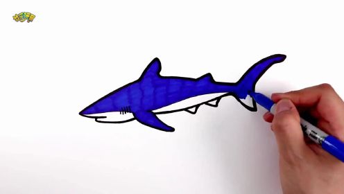 益乐哥哥认识海洋生物，学习认识各种鲨鱼的名字，各种鲨鱼亲子绘画