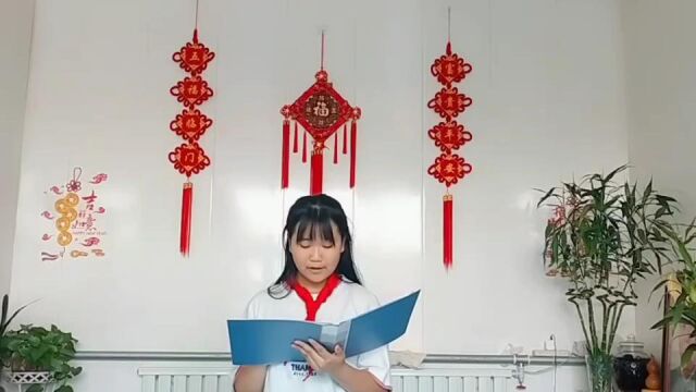 《小英雄雨来》