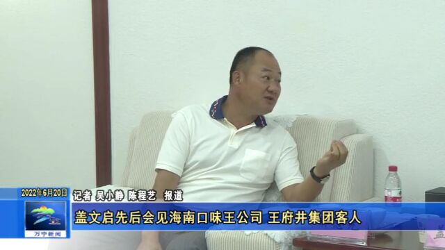 盖文启先后会见海南口味王公司、王府井集团客人