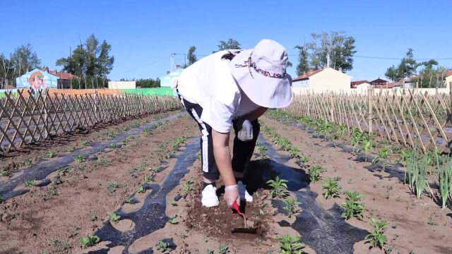 (电视通稿ⷥ›𝥆…ⷧ侤𜚩认耕南村一分地 市民圆了“田园梦”