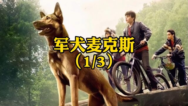 (1/3)一条英勇忠诚的军犬故事,看到最后我被它感动哭了