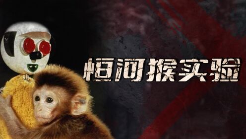 绝密报告-历史真实恐怖实验_第04集恒河猴实验：以爱为名的变态实验，人类因何而爱？_第04集恒河猴实验：以爱为名的变态实验，人类因何而爱？_高清完整版视频在线观看_腾讯视频