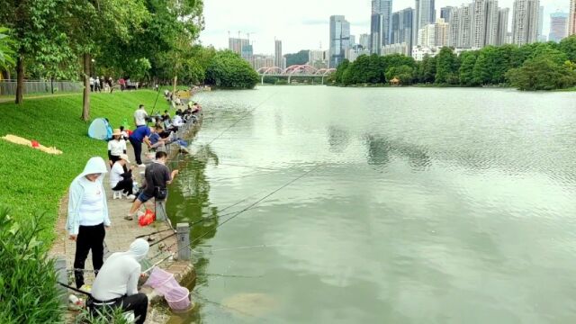 深圳一个尽情放杆钓鱼的好地方!洪湖公园.