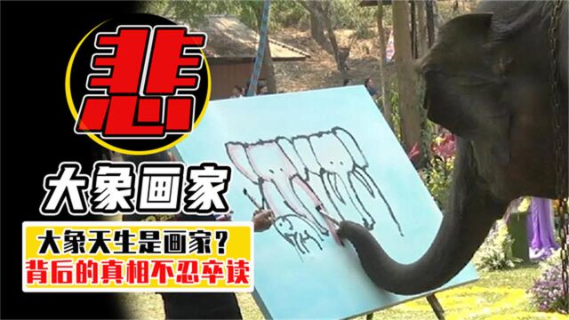 为了让大象画画,竟然用钩子扎它?探究大象表演背后的真相