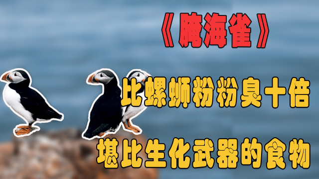 纪录片:比鲱鱼罐头螺蛳粉,还臭十倍的食物,堪比生化武器