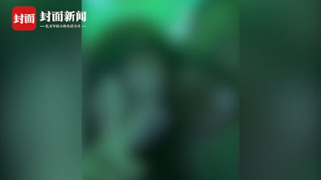 网传校长逛夜店与多名女子举止亲密 广西藤县:停职接受调查