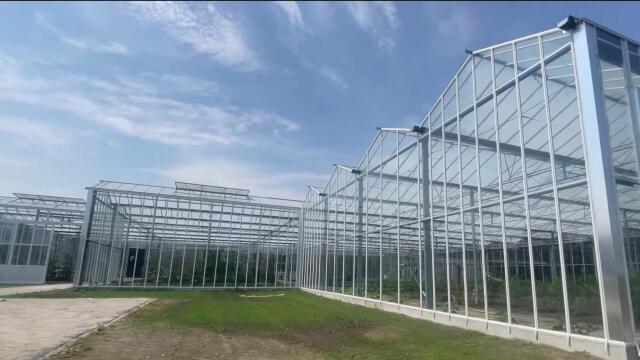 venlo型光伏玻璃温室大棚