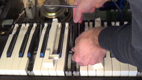 Yamaha立式电钢琴键盘拆解视频—键盘中国