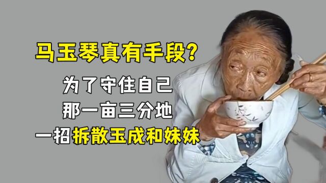 马玉琴真有手段?为了守住自己那一亩三分地,一招拆散玉成和妹妹