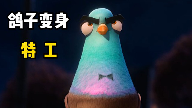 鸽子变身特工,技能样样精通