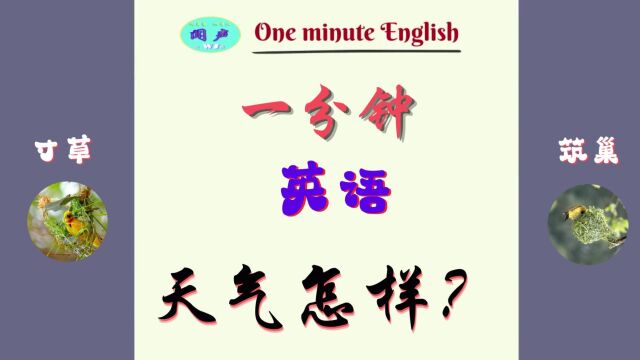 一分钟英语D43 天气怎样? | 英语学习 | Learn English | 英语口语 | 英语语法