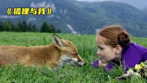 一部美炸了的冷门电影，女孩与狐狸的治愈故事