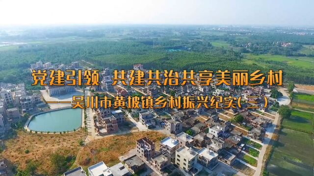 共建共治共享美丽乡村——吴川市黄坡镇乡村振兴纪实(三)