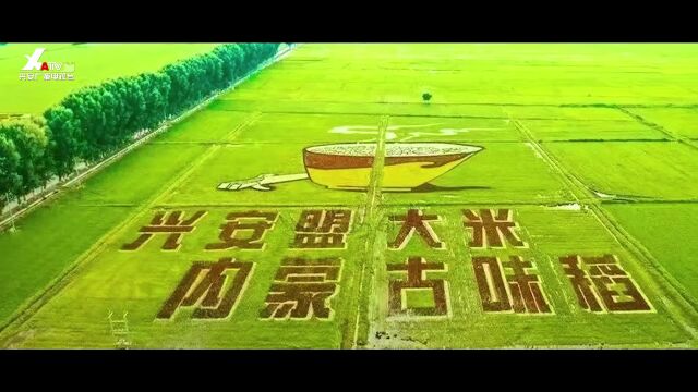 【重磅预告】进京啦!8月10日兴安盟农牧民刺绣作品展在北京举办!