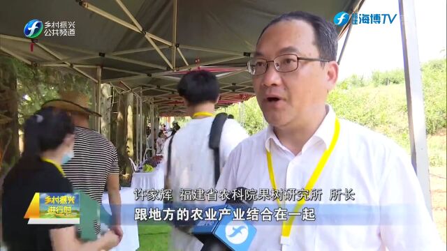 古田:举办首届油柰采摘节 福果缤纷秀成果