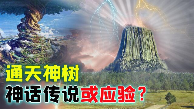 揭秘:山海经的通天神树真实存在?为何说中国在远古是地球中心?