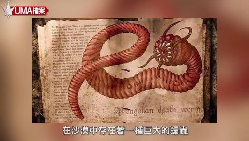 【UMA檔案】蒙古死亡蠕蟲-來自地底的怪物