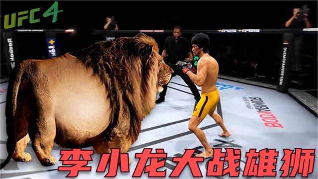 UFC电竞:李小龙疯起来连狮子都敢碰?而且还是世界最重的开普狮