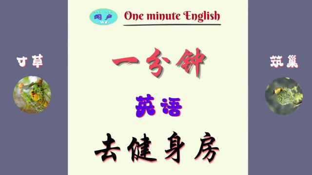 一分钟英语D54 去健身房 | 英语学习 | Learn English | 英语口语 | 英语语法