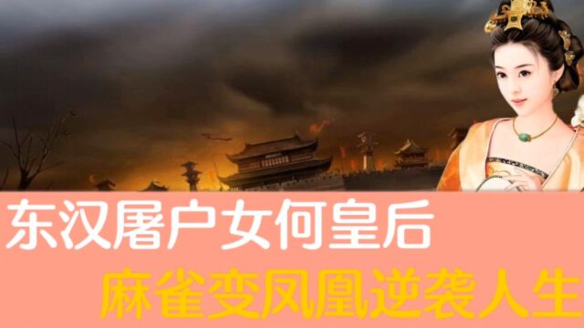 东汉何皇后:“麻雀变凤凰”,屠户女的逆袭人生