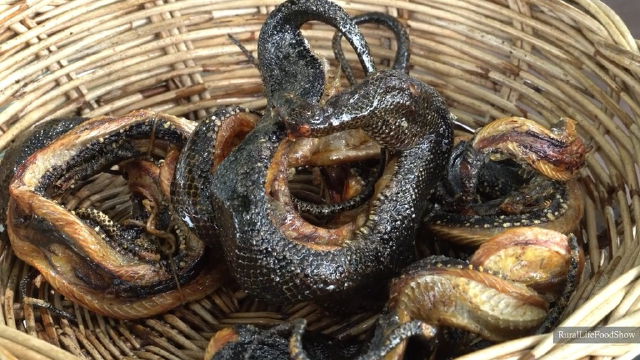 户外油炸花蛇  太好吃了 嘎嘣脆