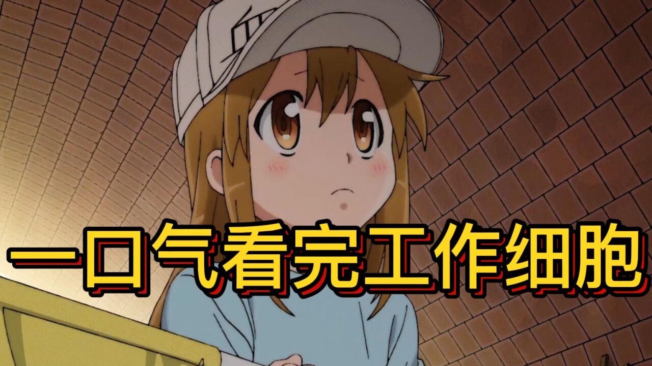 一口气看完【工作细胞】第一季_高清