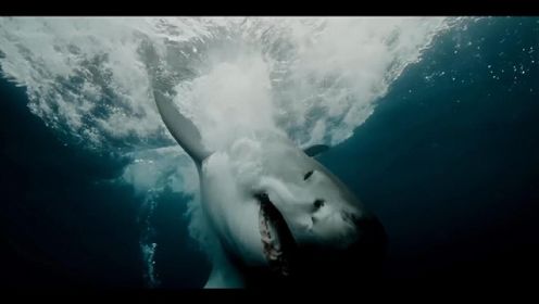 《大白鲨之夺命鲨口》美国版预告