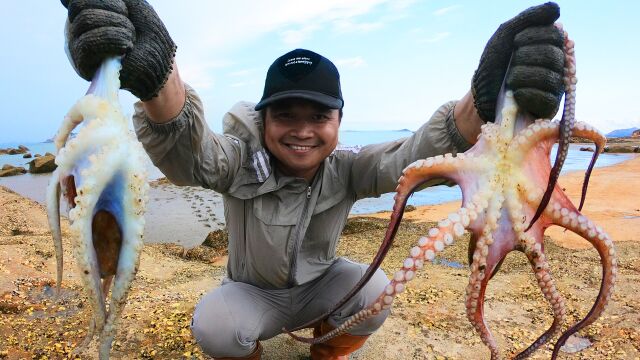 海边奇怪景象,八哥竟被打雷惊吓上岸,渔人泰泰连抓6只大八爪鱼