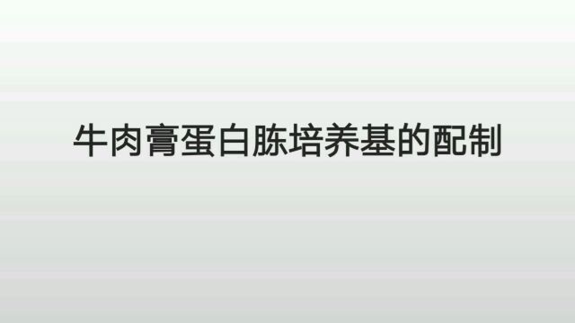 牛肉高蛋白动培养基地配置.