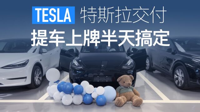 特斯拉提车攻略 提车上牌半天搞定