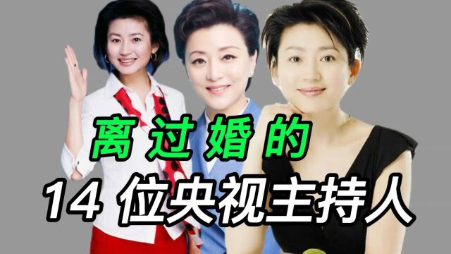 离过婚的14位央视主持人,杨澜上榜毕福剑生活艰难, 谁最可惜呢!