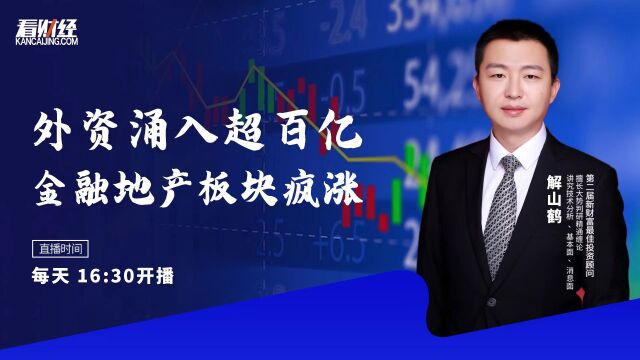 中金财富投顾解山鹤:外资涌入超百亿,金融地产板块疯涨