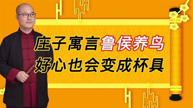 庄子寓言之鲁侯养鸟:企业管理方式不妥当,好心也容易演变成杯具