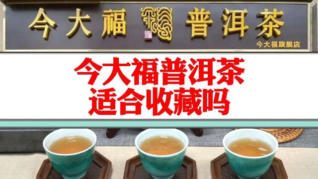 今大福:普洱茶行业优秀新晋品牌!持续发力,值得收藏